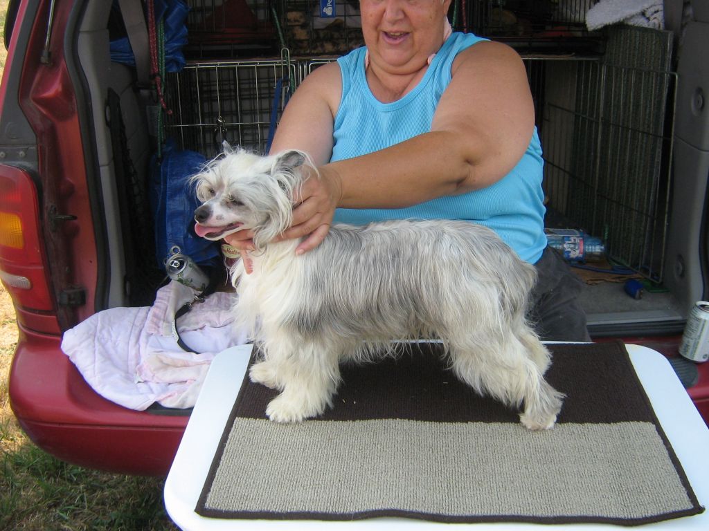 Dizzy Dollies Meg's Dutchess