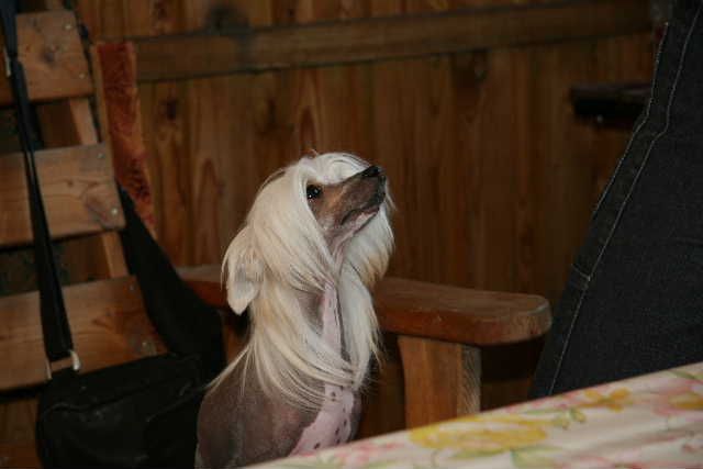 Ridgecrest's Absolutely Stunning