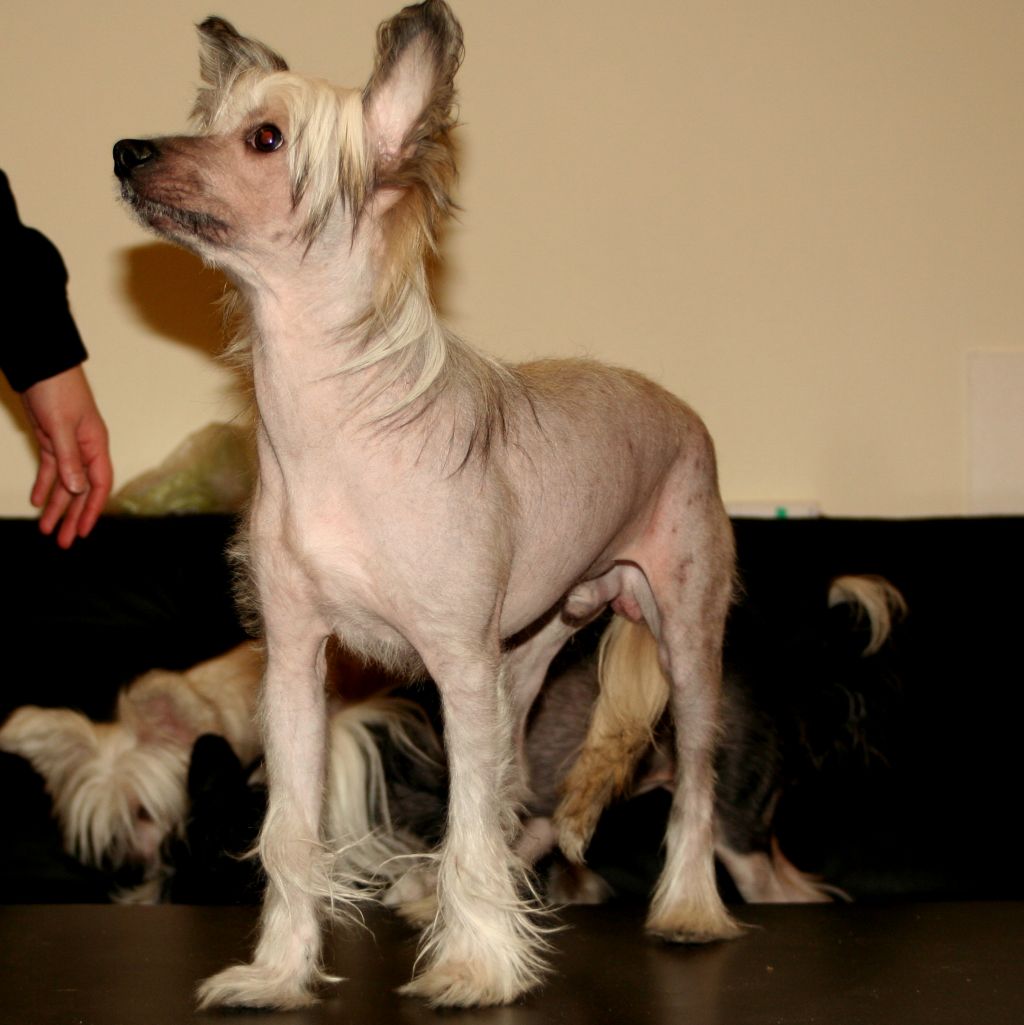 Marppulan AikaLystikäs