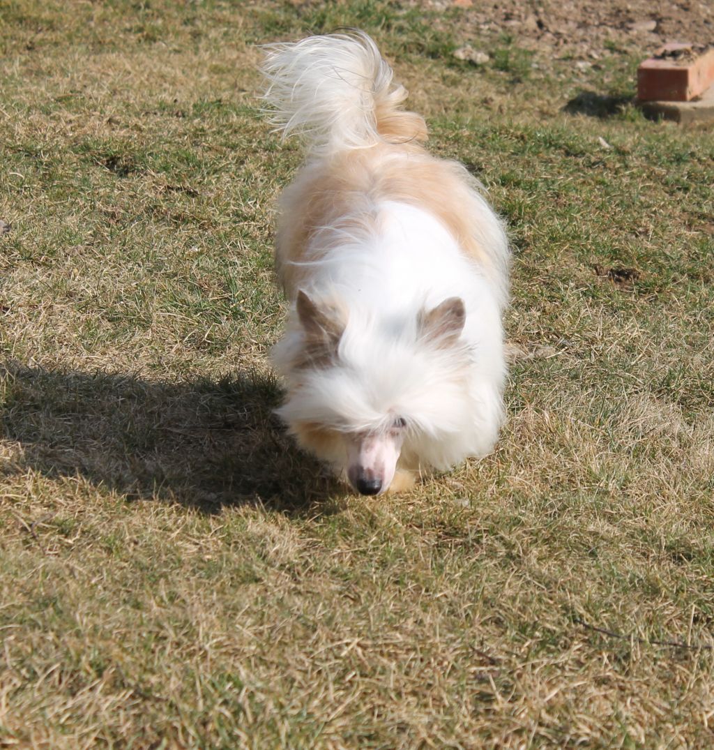 Dynamic Queen Malverne