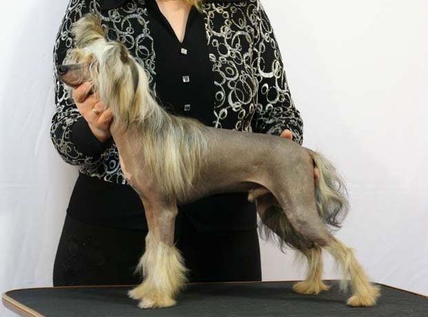 Rus Crimson Empaer Insider