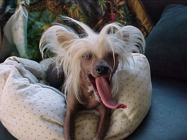 Jubilee's Coal In My Stocking