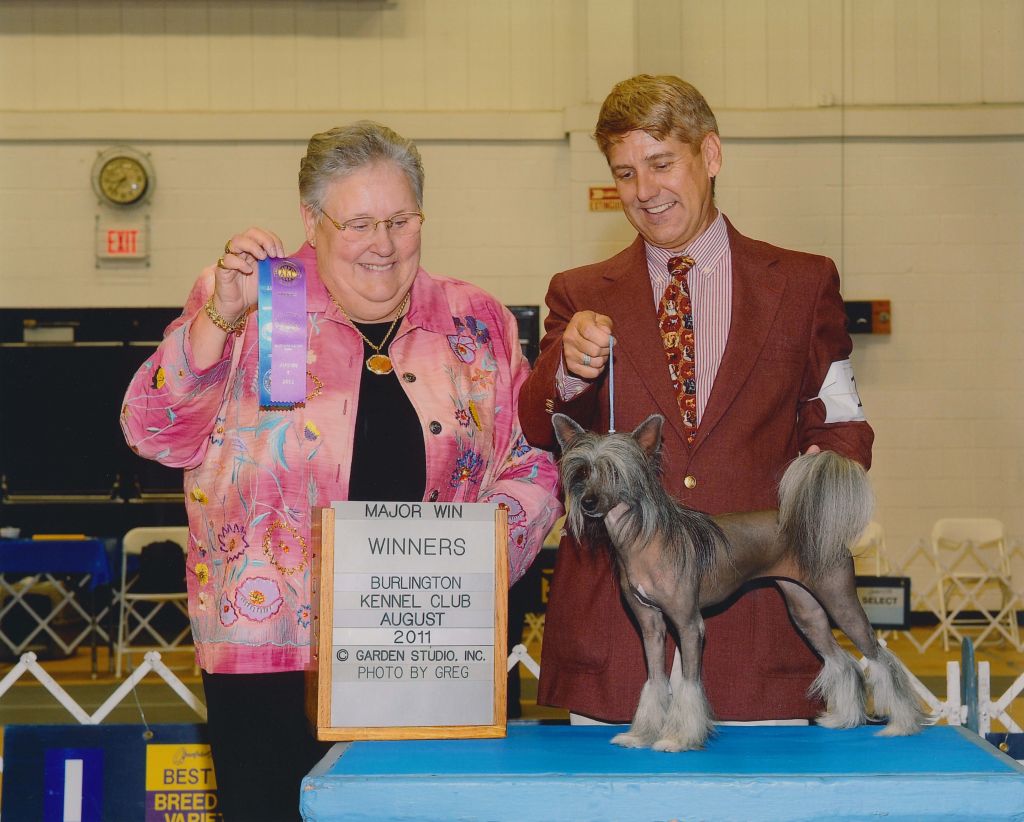 Whispering Lane There's No Explanation for Fashion