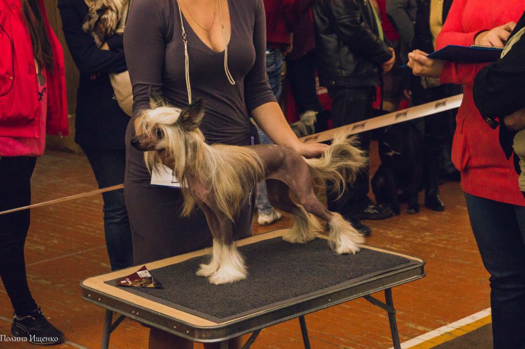 Berenik Pandora Cheretty Sweet