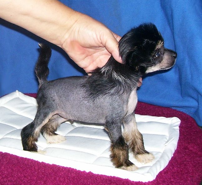 Spiritual Public Enemy Number One