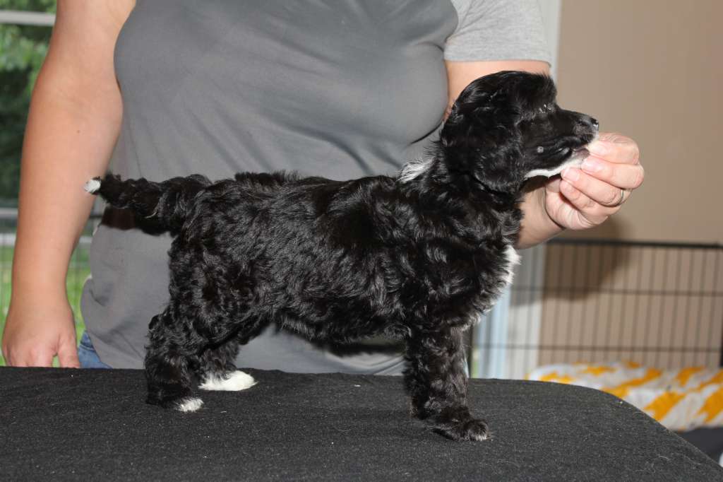 Hottie Tots Don't Stop The Music