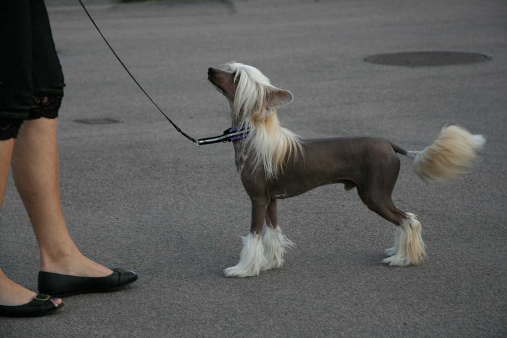 Ridgecrest's Most Naughty