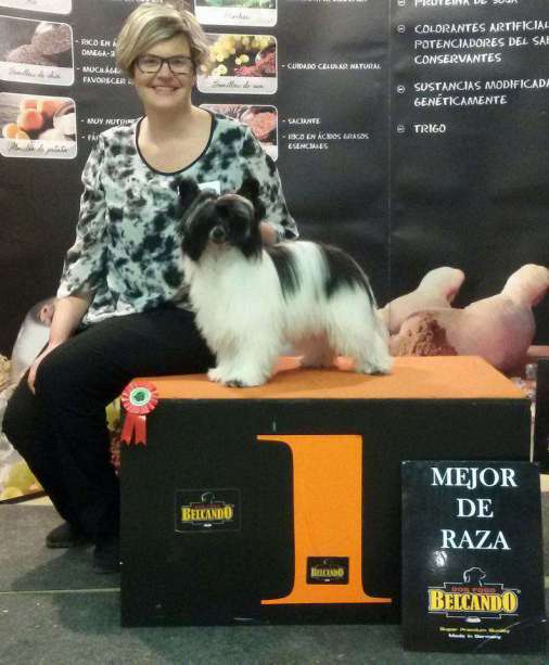 Ansluta von Herbertsons