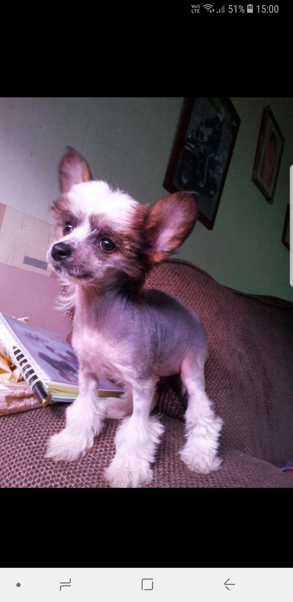 Kelsions Feel N Fruity