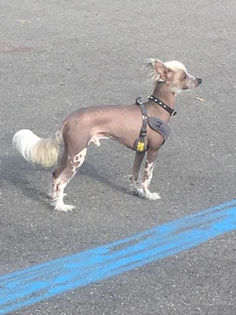 Tempting Taste of Lore