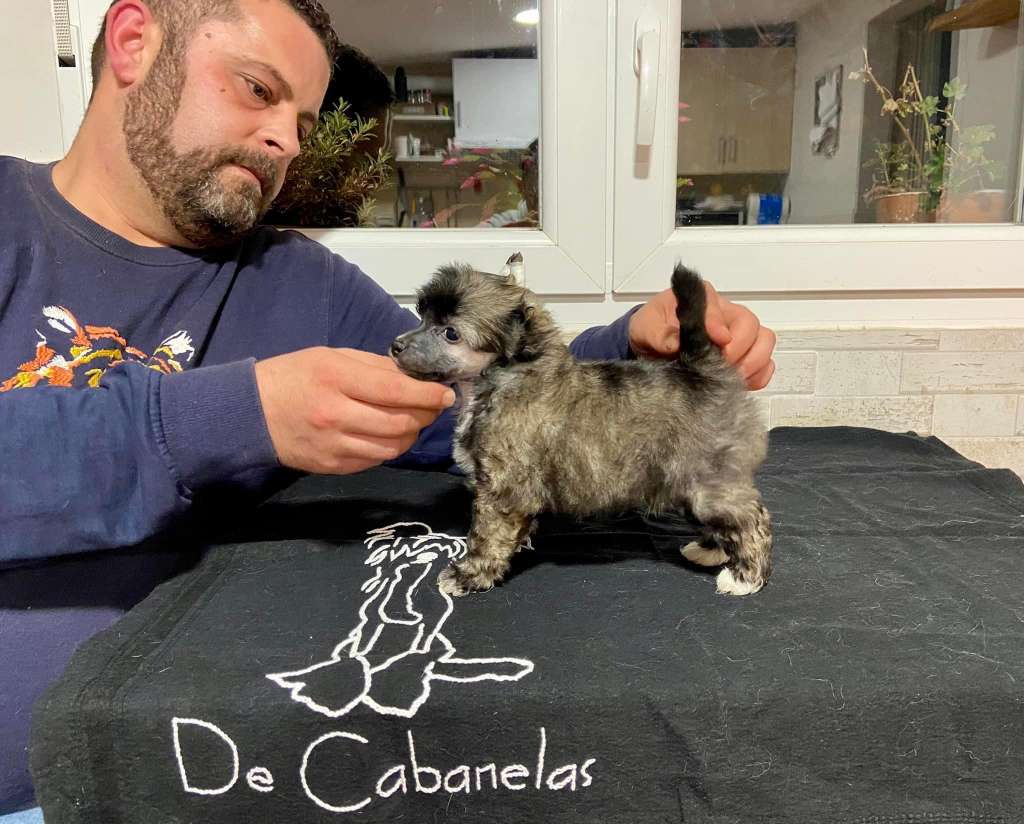 De Cabanelas I Have a Dream Dr King