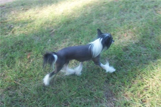 Mosaic's Let Me See You 1 2 Step