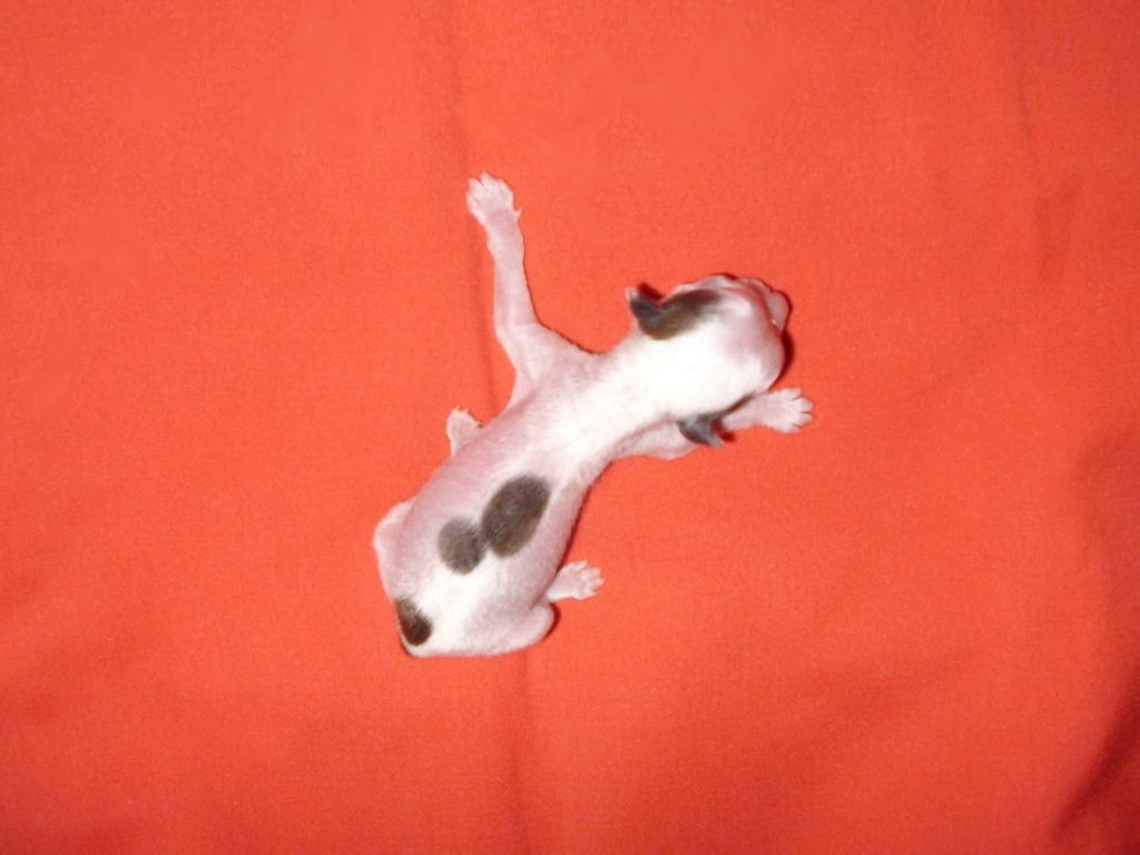 Picture