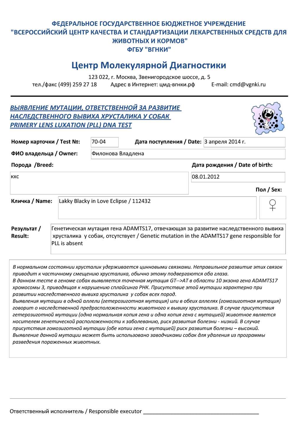 Picture