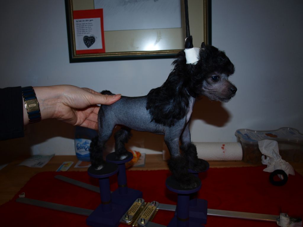 Thunder and Lightnings Grace Kelly