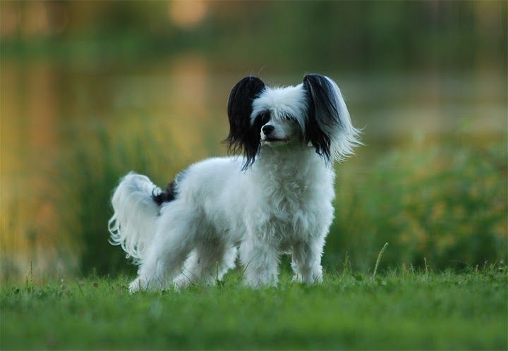 Sun Dan Key To My Heart