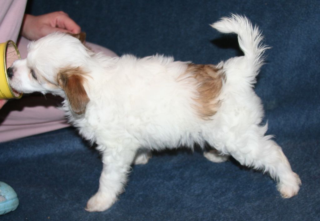 Reject's Ocean Thirteen