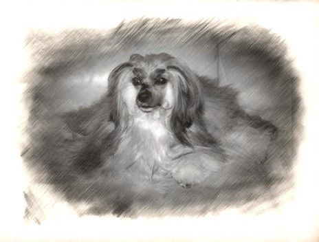 Ksolo Club Shandu Di