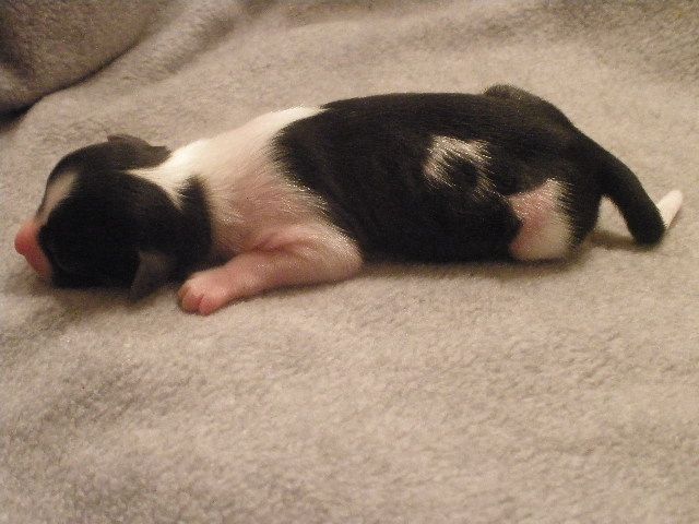 Picture