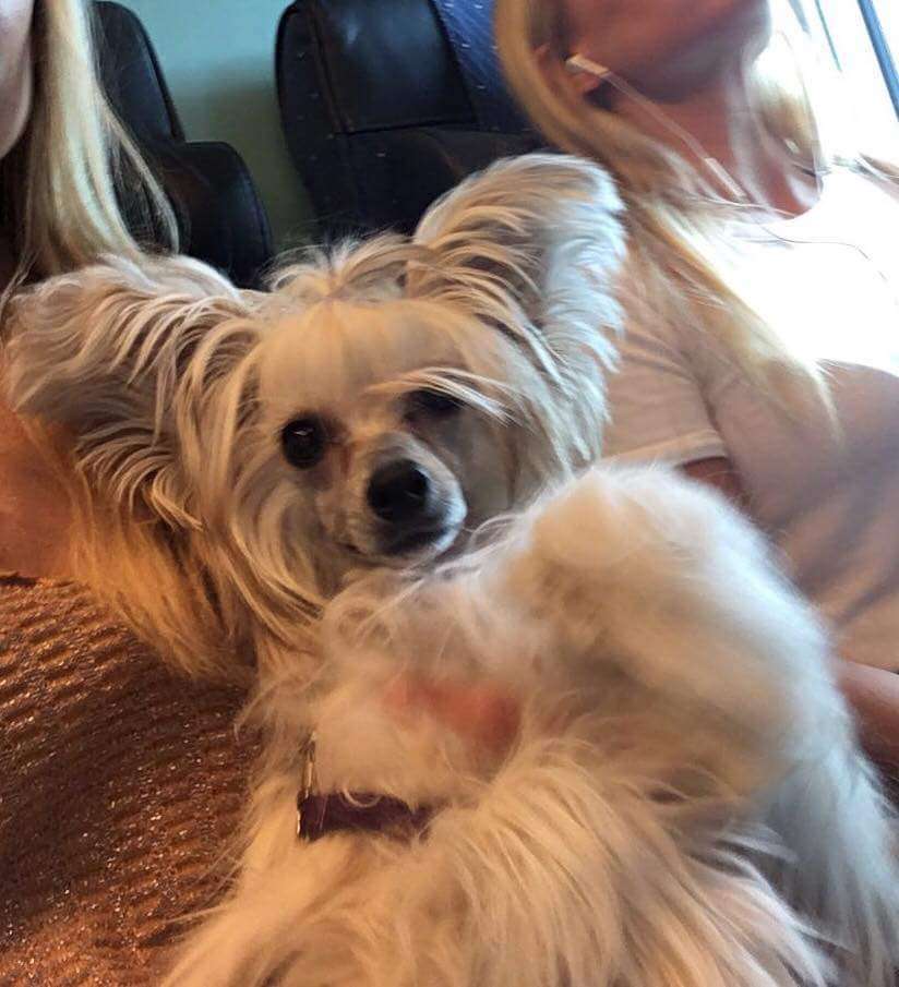 Mirbon's Darina Dalia