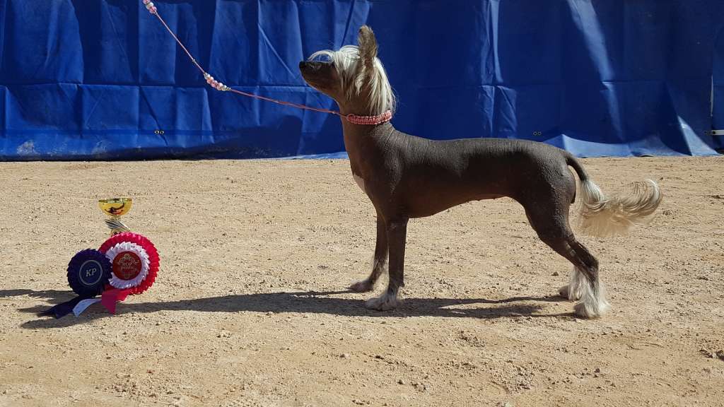 Pinky Twinky Nobody's Wife