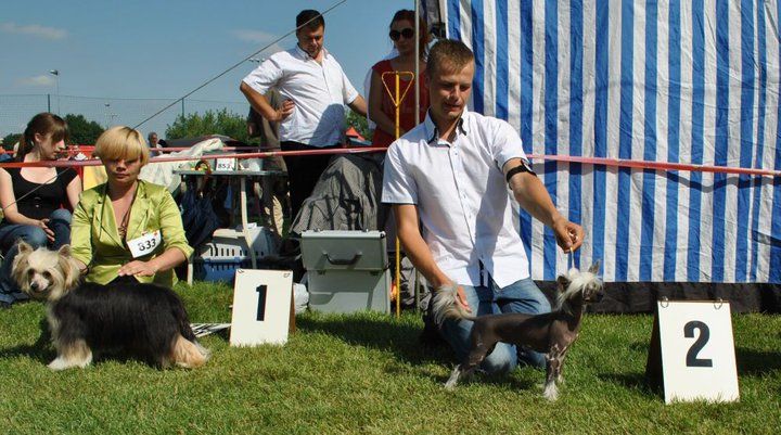 Diamond for Inka's Princes de la Roses