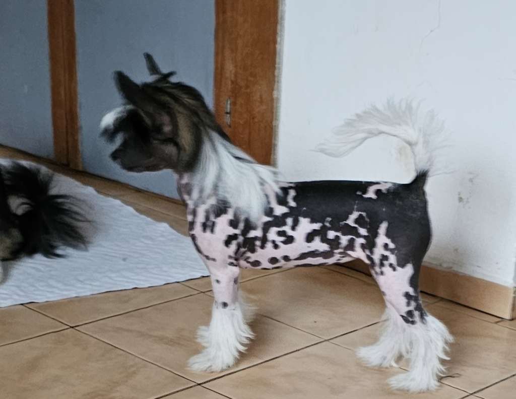 Quinn Garvey Avokaduh