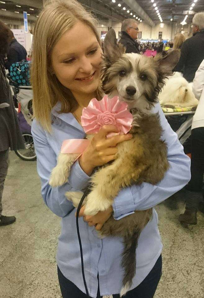 Maximilla's Cadillac Illusion