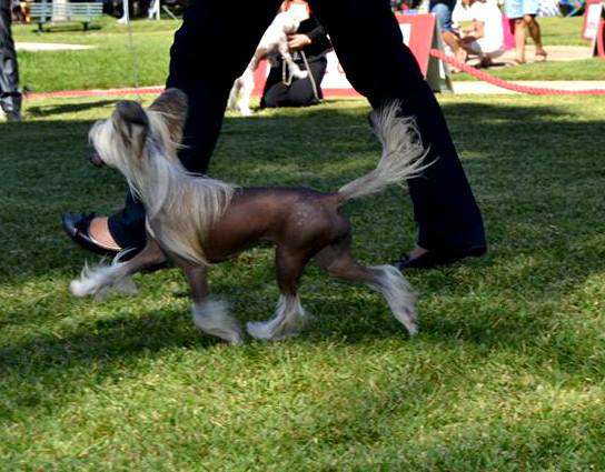 Picture