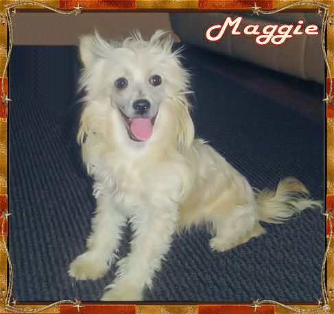 Outlaw's A Cowgirl At Heart