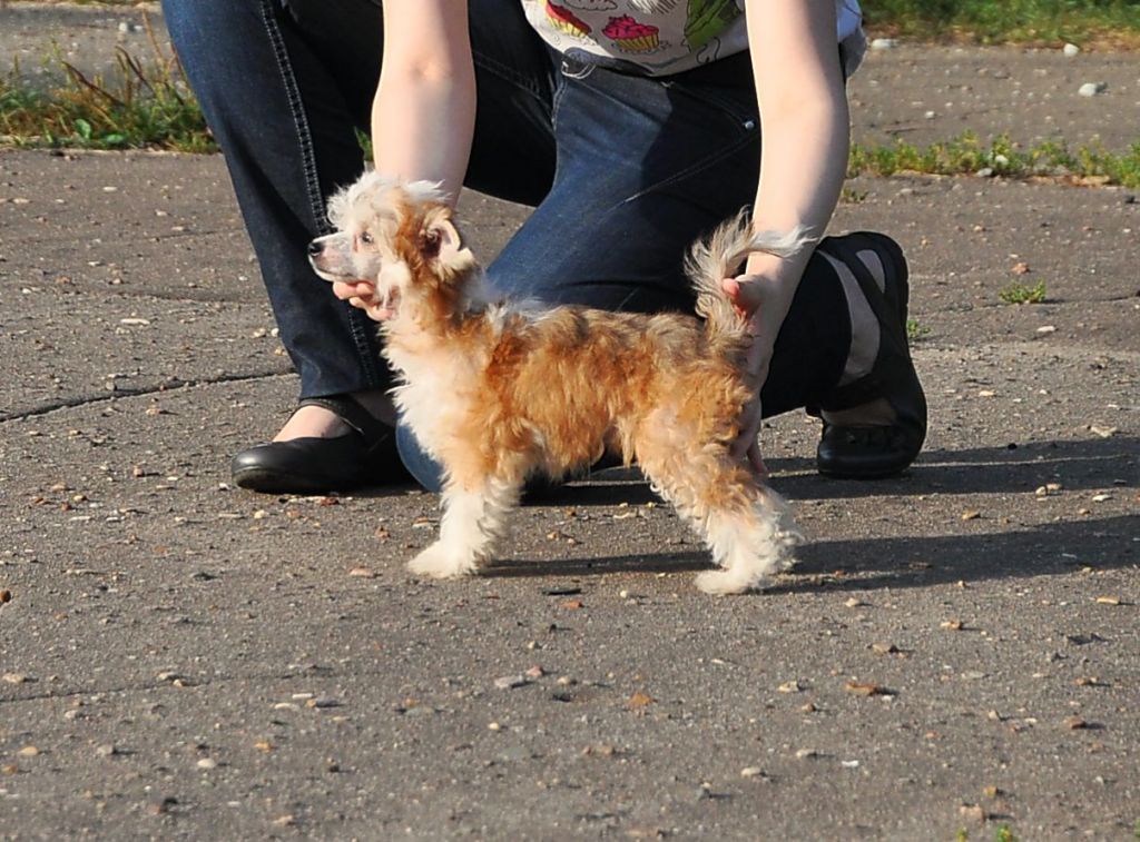 Crystal Soul Bianca Victoria