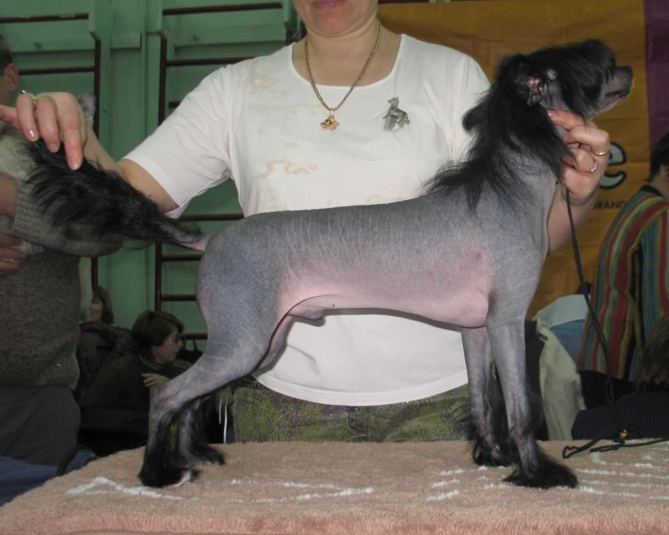 Snou Mirekl Paramount Master