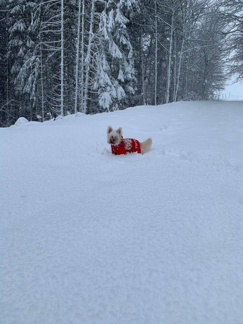 Il était Une Fois Sailor Moon