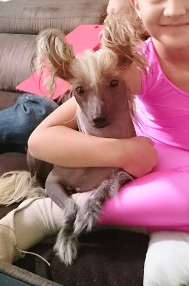 Vergill Capo-Vaticano