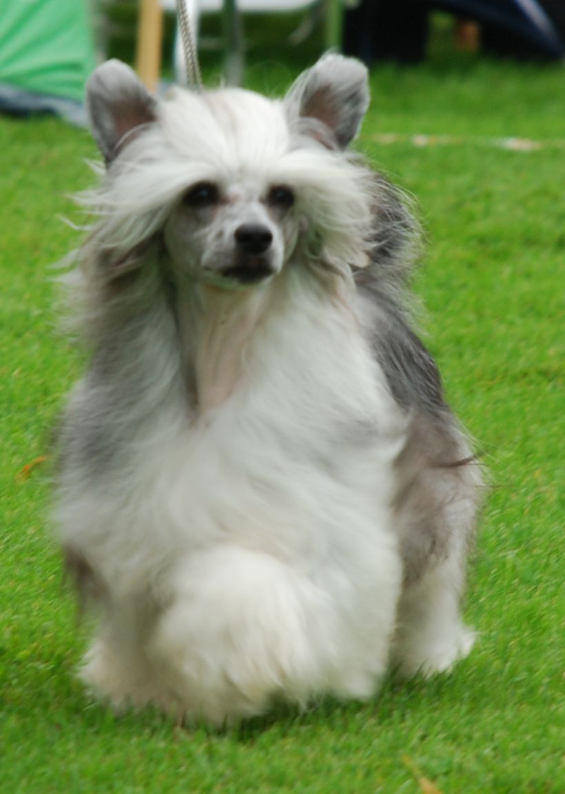 Sun-Hee's Best Of The Best