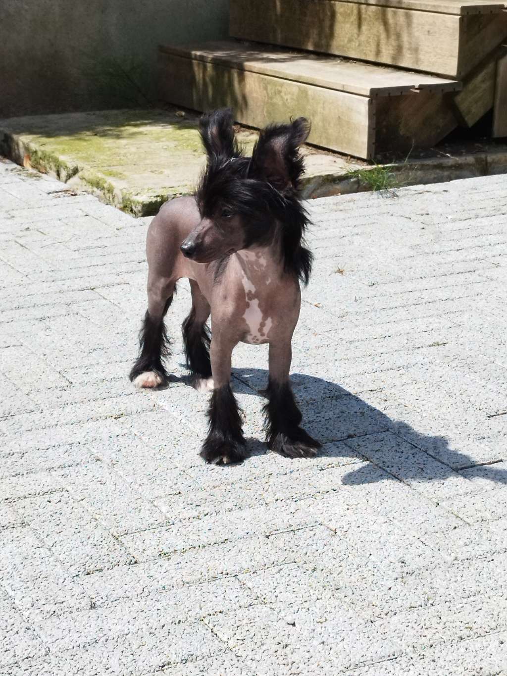 Felija Winning Smile