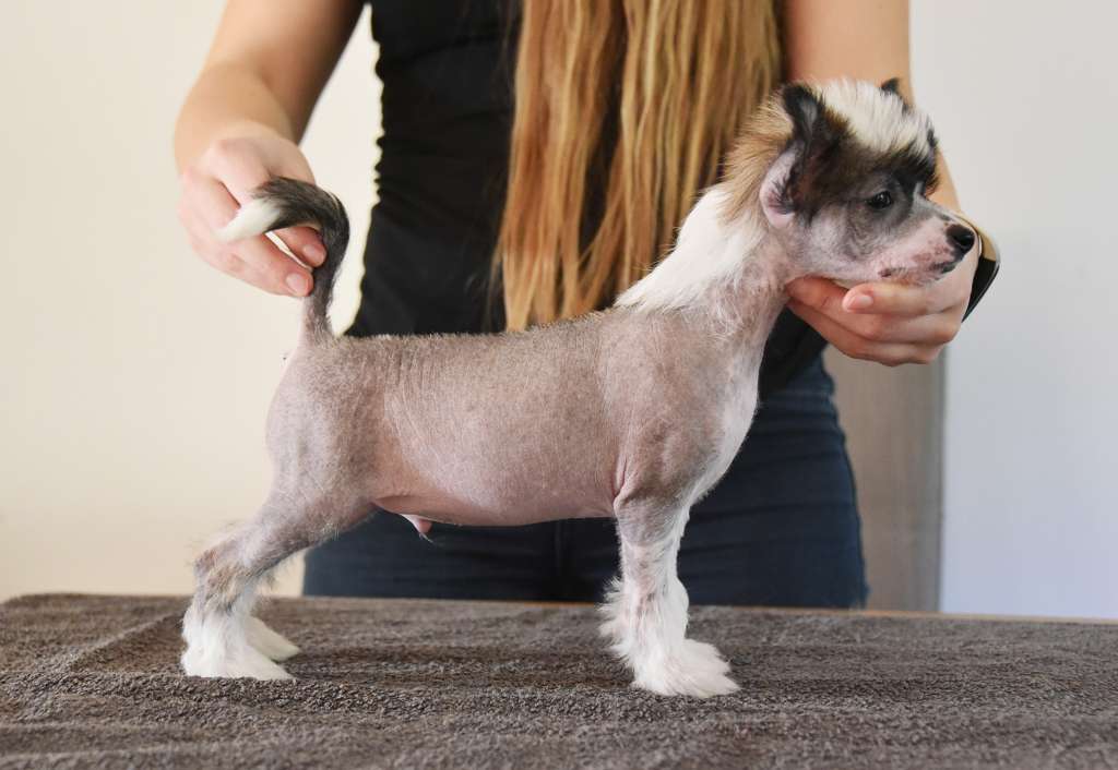 Jean Dark Virtual Friend