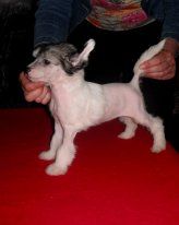 Vellar Pljus Mal Vi Na