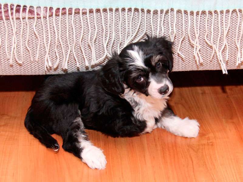 Sky Miracle Ruby Slippers