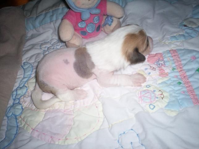 Picture