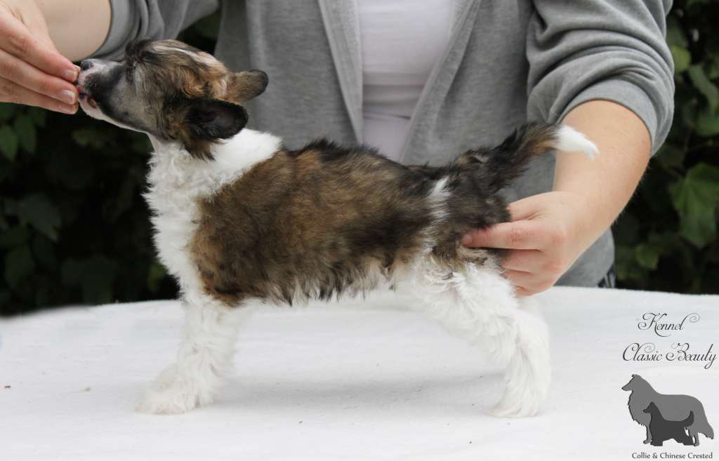 Classic Beauty A Story To Tell