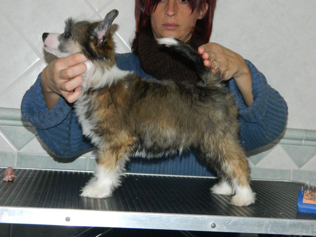 FontusMe.Gi Dio delle Fonti