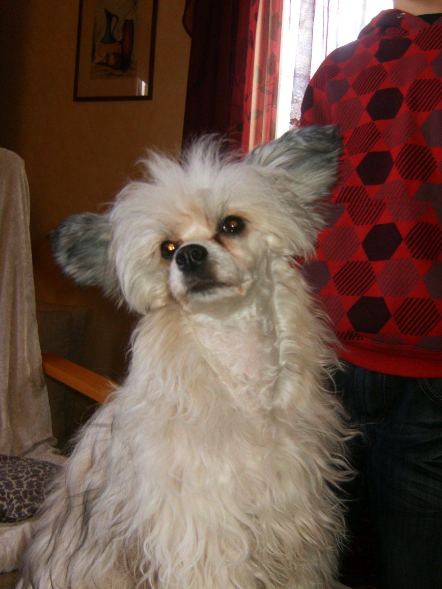 Gamla Bodens mini Ingamaj