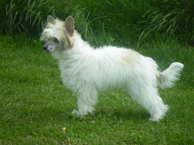 Lucky Line's Fabulous Spot On