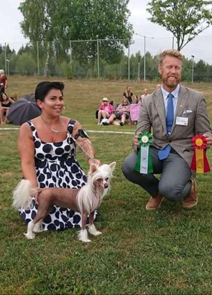 Ridgecrest's Princess Street Smart