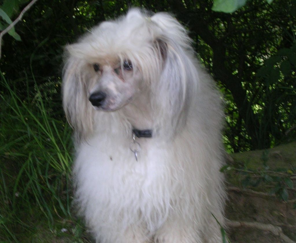 Kelsions Take a Chance