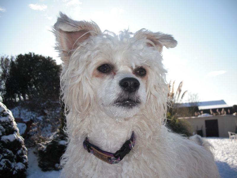 Bradwen Caught ya Lookin