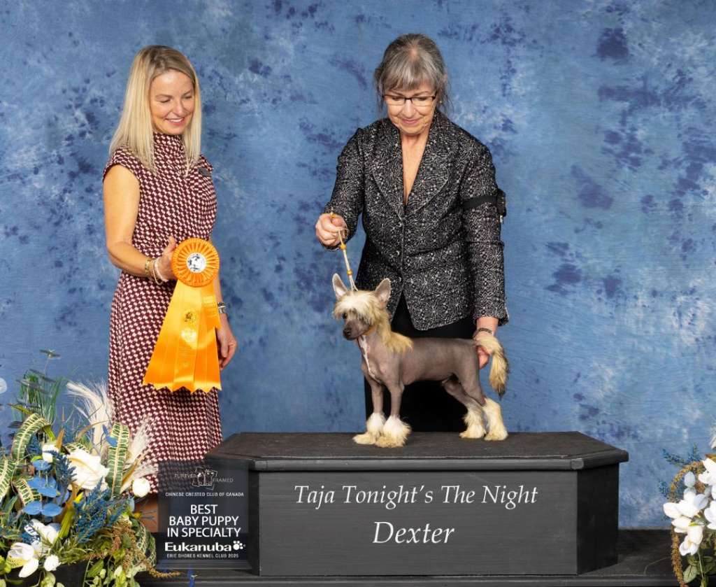 Taja Tonight?s The NIght