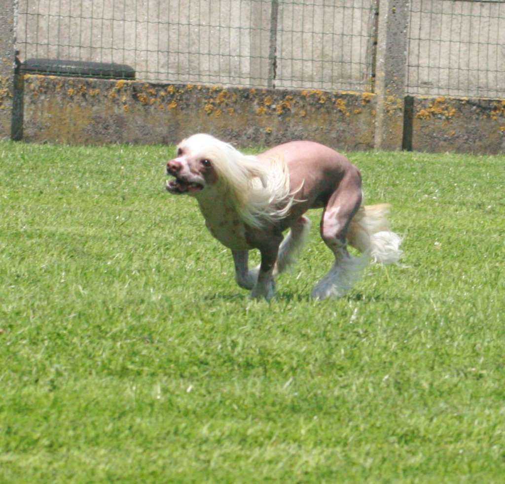 Dont Doubt About It of Roxy's Pride