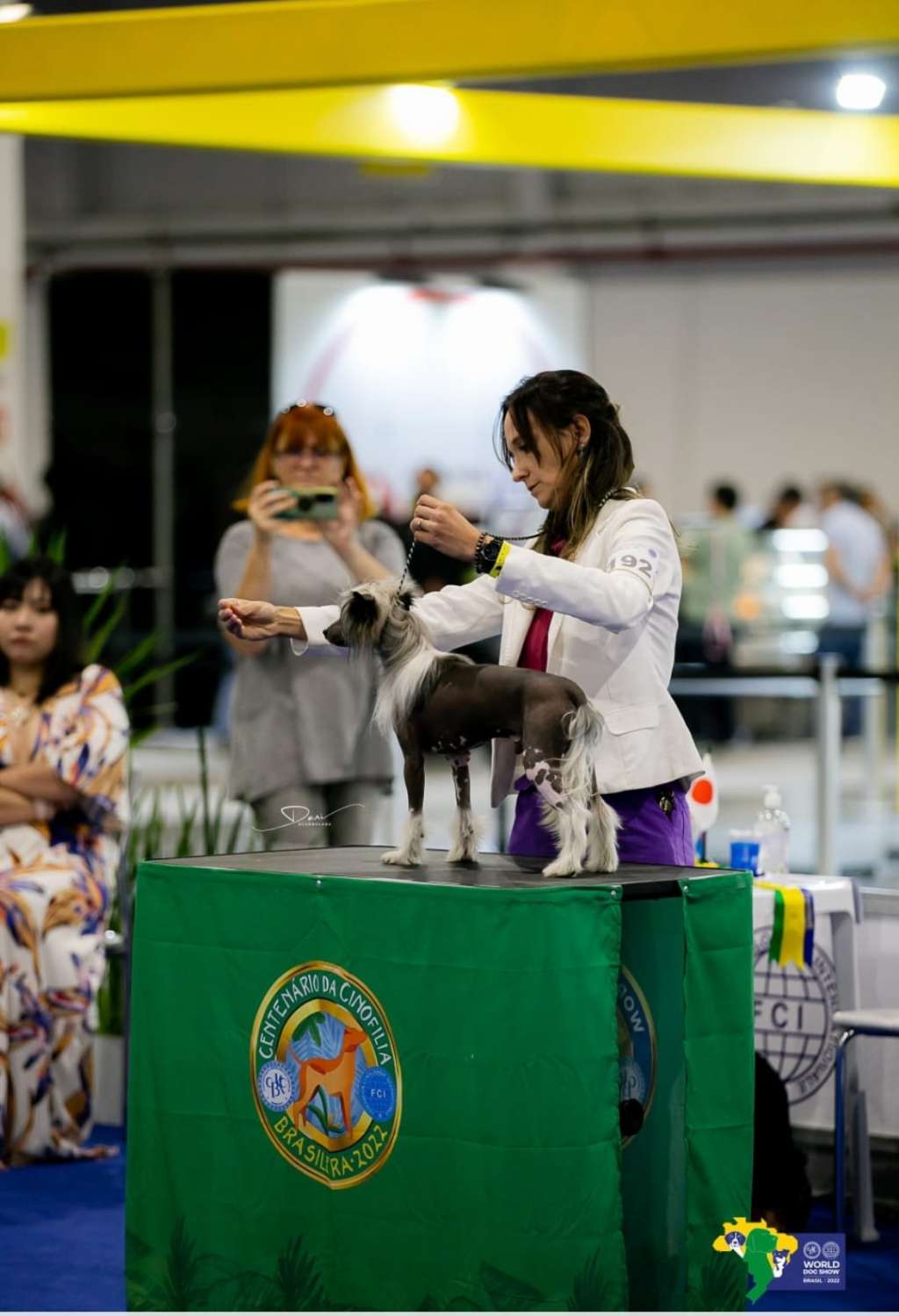 Quinta da Boa Crista Raisin Merlot